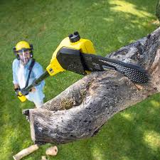 Best Arborist Consultation Services  in South Patrick Shores, FL